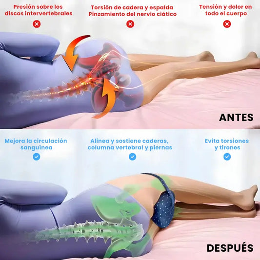 OrthoDream®  “Descanso ortopédico hecho para tus sueños.”